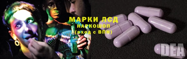стафф Аркадак