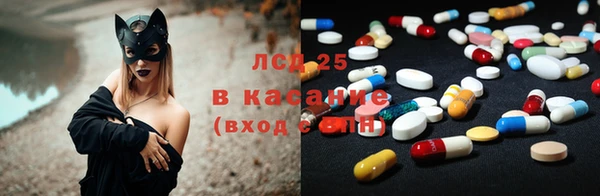 стафф Аркадак
