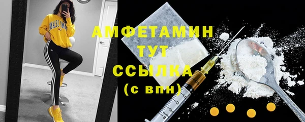 стафф Аркадак